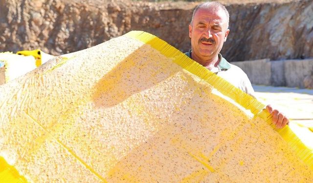 Halkın geçim kaynağı oldu