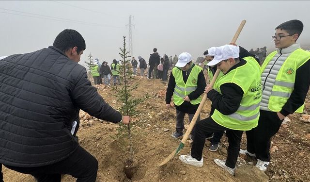 10 bin 444 fidan toprakla buluşturuldu