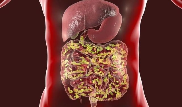 Bağırsak sağlığınızı sessizce öldüren 5 yaygın alışkanlık