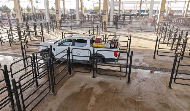 Büyükşehir’den Canlı Hayvan Pazarı’nda Halk Sağlığı İçin Kapsamlı Çalışma