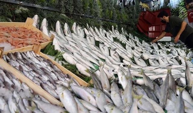 Kasım ayında tüketilebilecek en faydalı balıklar belli oldu