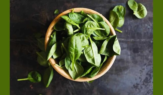 Ispanak Nedir? Ispanağın Faydaları Nelerdir?