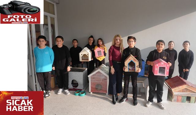 Öğrencilerden Sokak Hayvanlarına Sıcak Bir Dokunuş