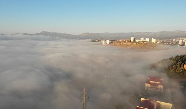Kahramanmaraş'ta sis etkili oldu