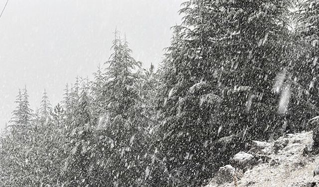 Kahramanmaraş'ta kar yağışı etkili oldun ilçesi