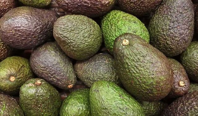 Avokado Nedir? Avokado Faydaları Nelerdir?