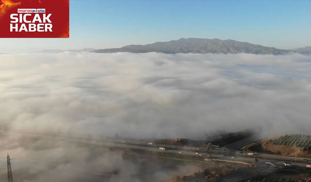 Soğuk ve Sisli Sabahlar,  Yağmur Geliyor