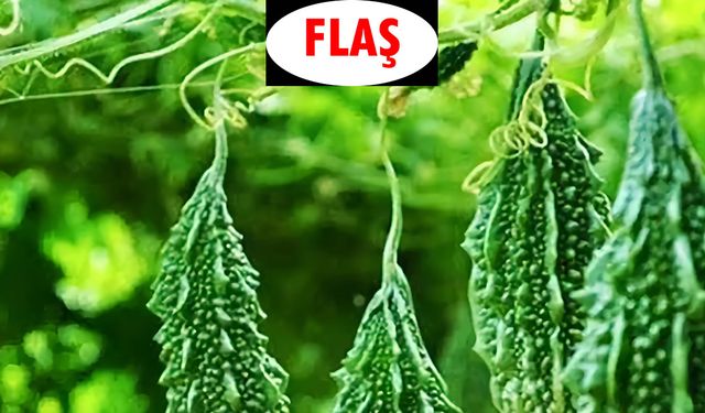 Acı biberden hemen sonra tüketilmemesi gerekenler