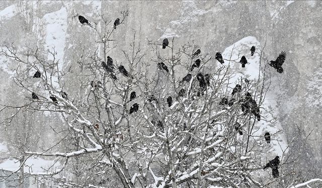 Aralık'ta en yüksek sıcaklık Hatay'da ölçüldü