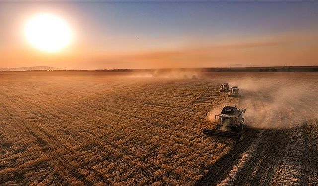 IPARD-III Desteklerine Türkiye'nin Dört Bir Yanından Yoğun İlgi