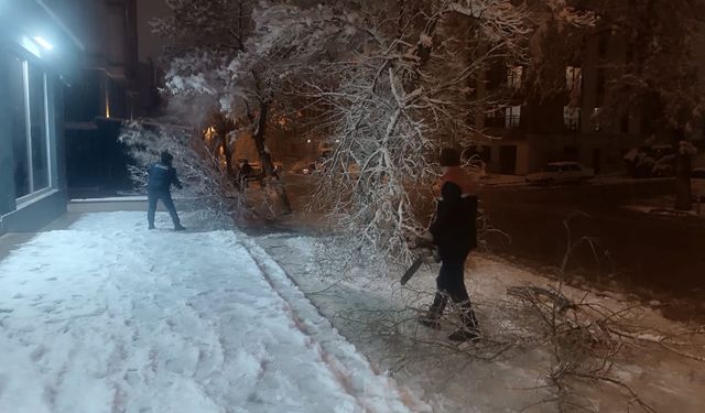 Yoğun Kar Yağışıyla Kırılan Ağaç Dallarına Hızlı Müdahale