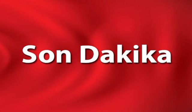 Hayvanların afet anında kaçabilmelerini sağlayan otomatik tahliye sistemi tasarladı