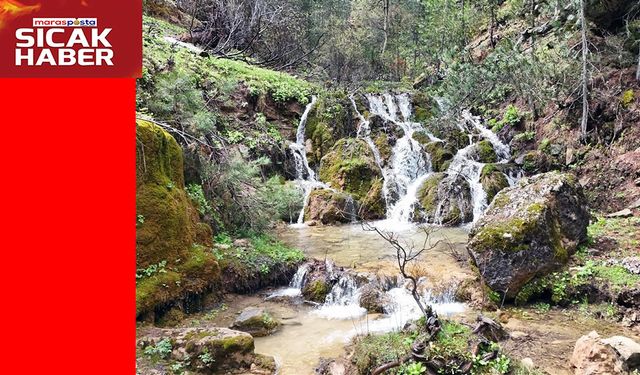 Türkiye’de korunan alan sayısı 692’ye yükseldi