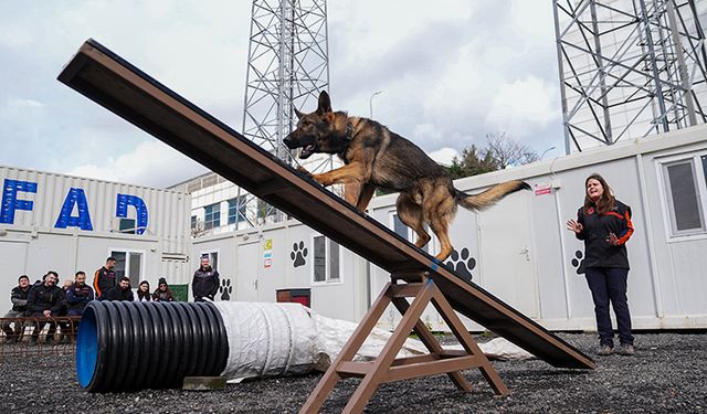 Evdeki can dostları arama kurtarma görevine hazırlanıyor