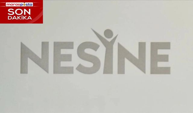 Nesine 2. Lig'de Görünüm