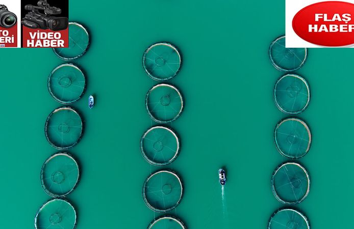 Denizi Olmayan İlde Balıklara Talep Yağıyor