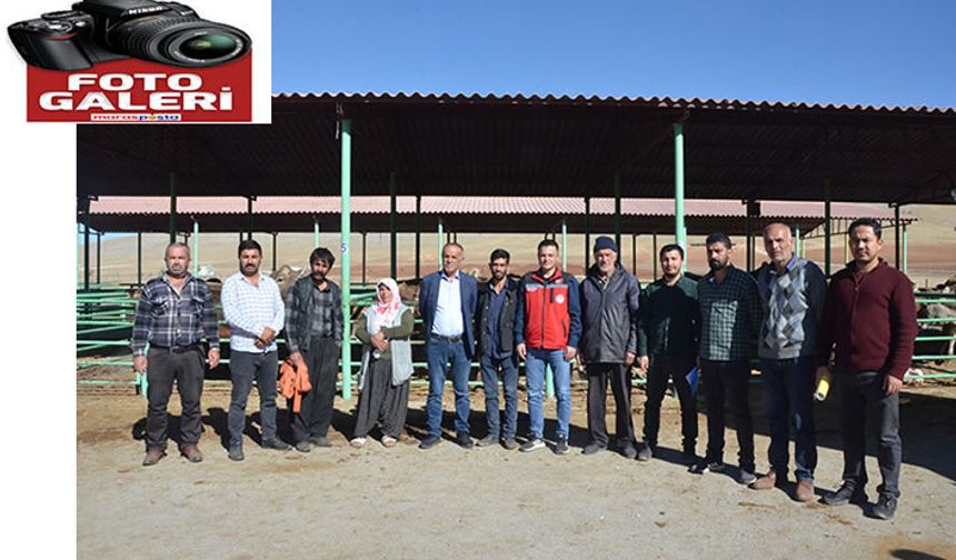 Depremzede üreticilere hayvan desteği