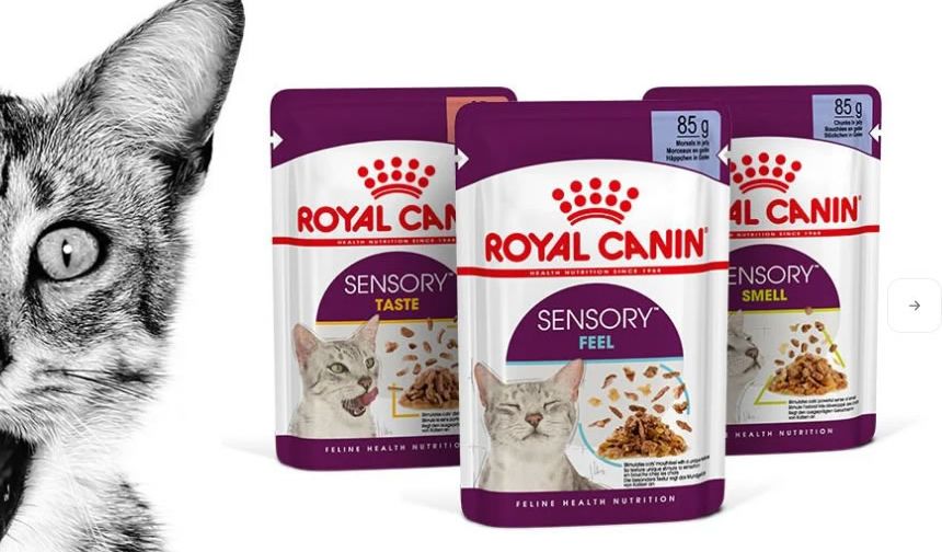 Kedi Maması Seçerken Nelere Dikkat Edilmeli?