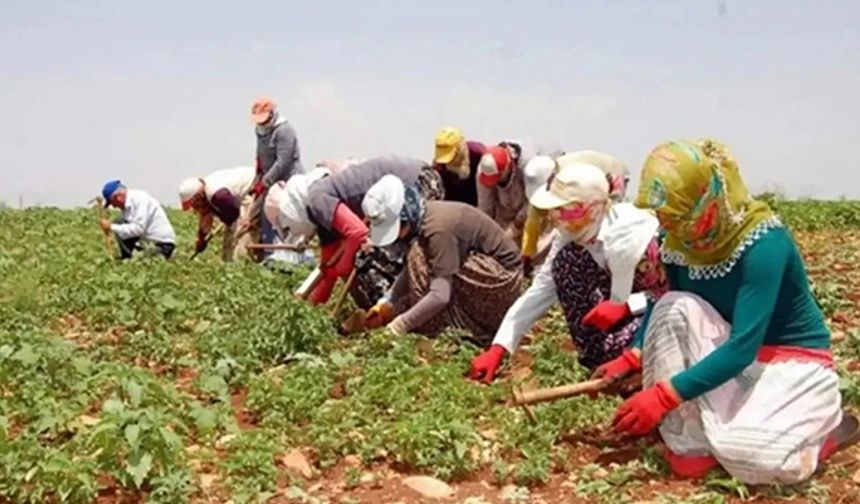 Mevsimlik tarım işçileri düzenlemeleri Resmi Gazete'de