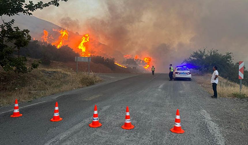 Ççıkan yangında 10 hektar makilik alan zarar gördü
