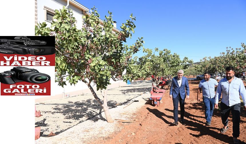 “Pazarcık Fıstığı’nın Tescili İçin Gerekli Süreçleri Başlatıyoruz”