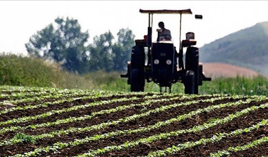 Tarım arazileri projelerine bu yıl 679 milyon lira ödenek ayrıldı