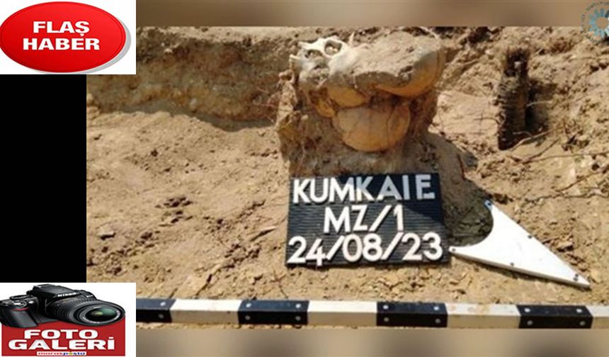 Çanakkale Savaşları'nın 110 yıllık izleri
