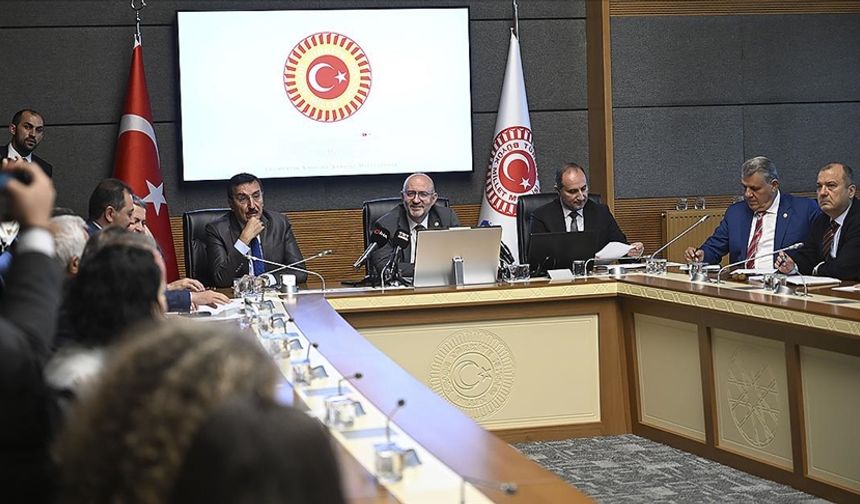 TBMM Zirai Don Olayını Araştırma Komisyonu toplandı