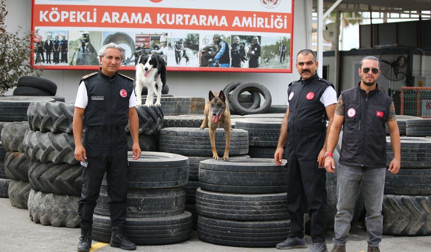 Ödüllü arama kurtarma köpekleri AFAD'ın sınavına hazırlanıyor