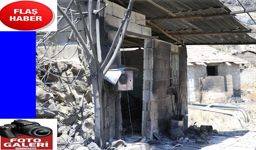 Depremde evini, orman yangınında eşyalarını kaybetti