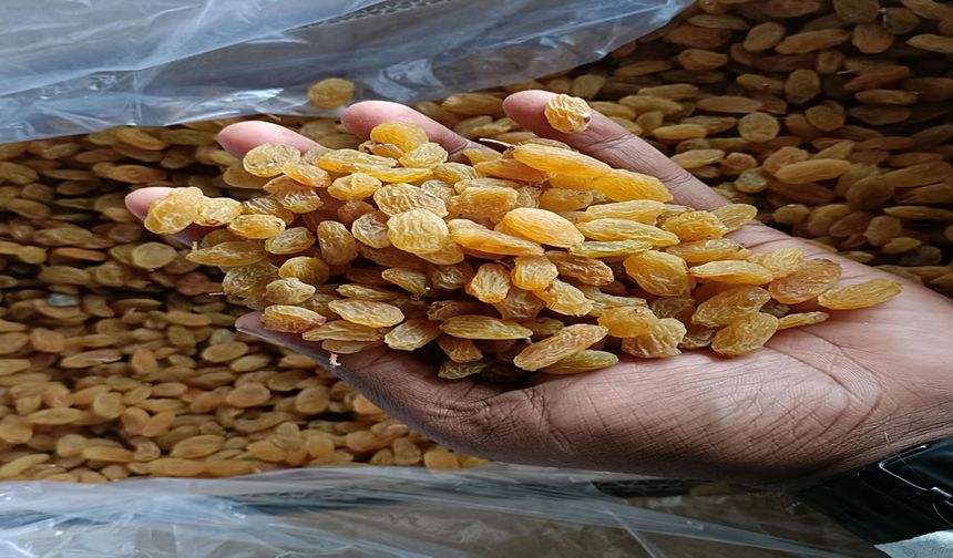 Kuru üzüm üzüm kadar sağlıklı mı?