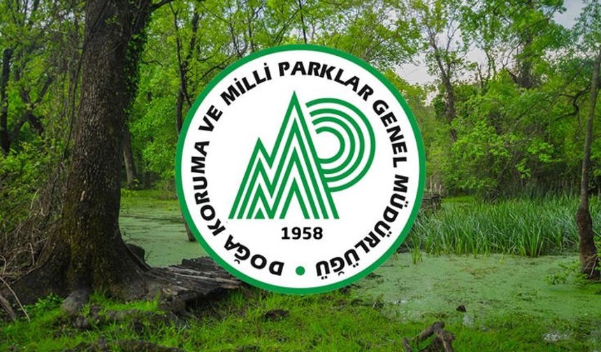 Doğa Koruma ve Milli Parklar 240 Personel Alımı Yapacak!