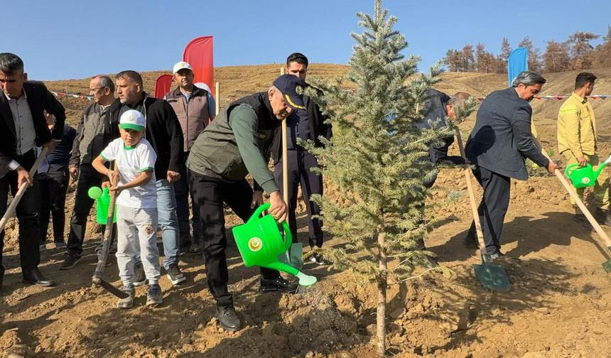 AK Parti’den Yeşil Vatan Seferberliği