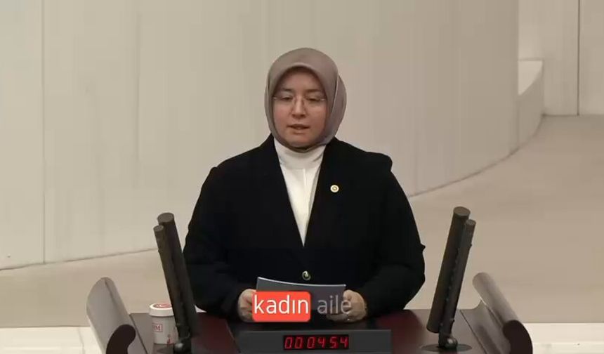 AK Partili Tuba Köksal, TBMM Genel Kurulunda konuştu