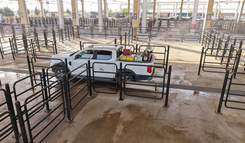 Büyükşehir’den Canlı Hayvan Pazarı’nda Halk Sağlığı İçin Kapsamlı Çalışma