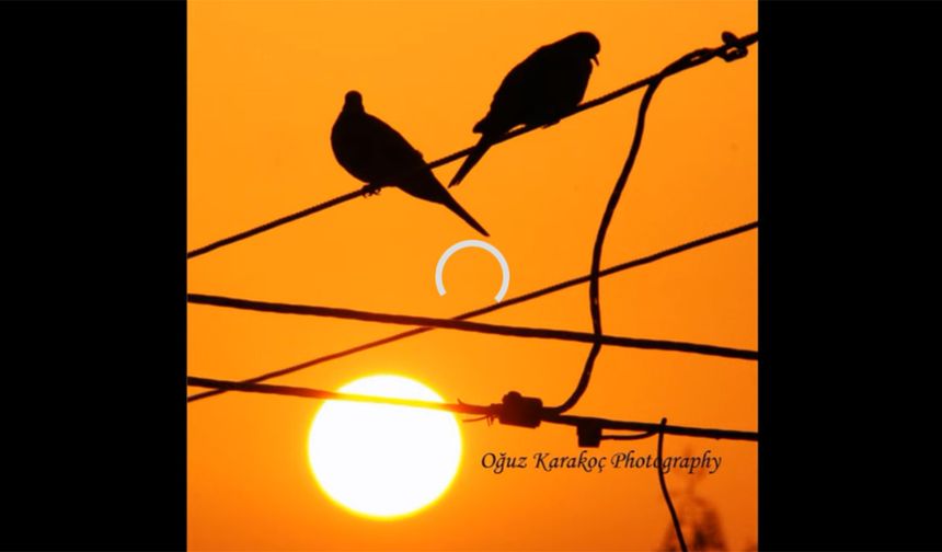 Âşık atışması: Aşığın cevheri Sözdür