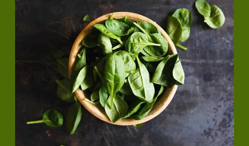 Ispanak Nedir? Ispanağın Faydaları Nelerdir?