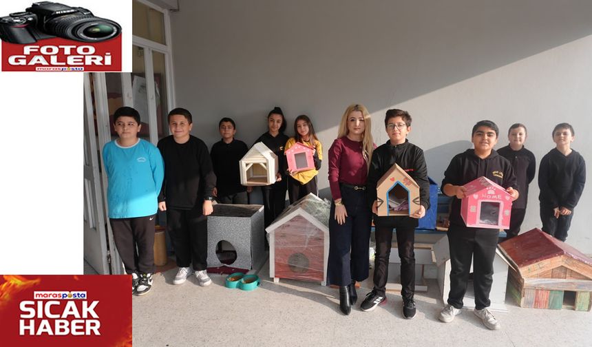 Öğrencilerden Sokak Hayvanlarına Sıcak Bir Dokunuş