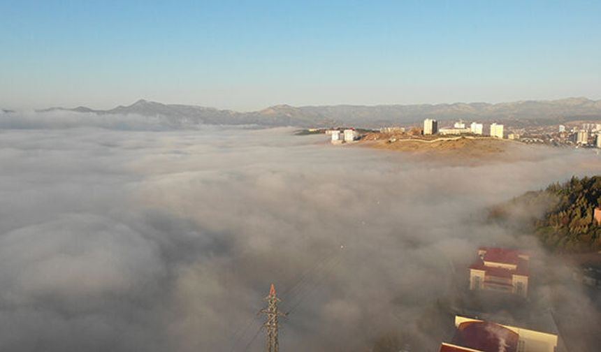 Kahramanmaraş'ta sis etkili oldu