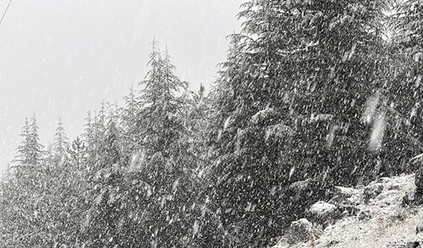 Kahramanmaraş'ta kar yağışı etkili oldun ilçesi
