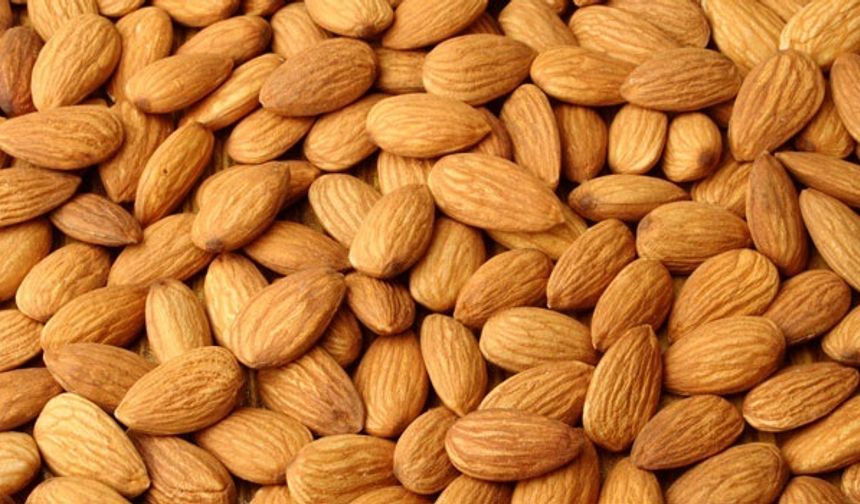 Her gün beş badem yemenin faydaları nelerdir?