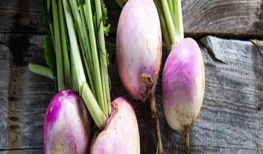 Şalgamın Faydaları Nelerdir?