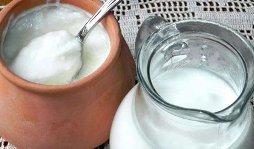 Süt mü yoksa yoğurt mu daha fazla protein içerir?