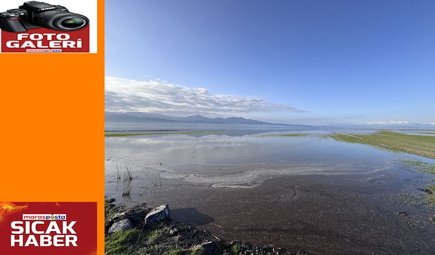 Etkili Olan Yağışların Ardından Binlerce Dönüm Tarım Arazisi Su Altında Kaldı