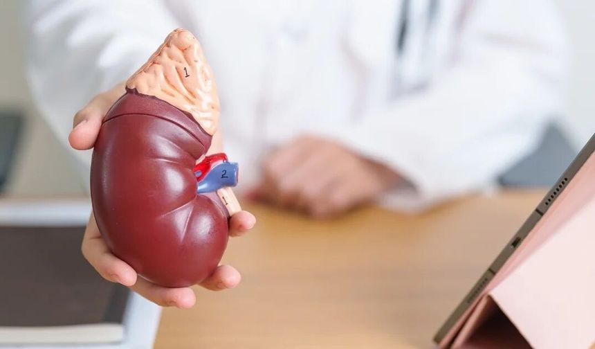 Dünya Böbrek Günü: 850 milyon kişiyi etkileyen hastalık