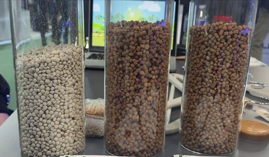 Türk girişimci Paris'te ihracat ağını büyütüyor