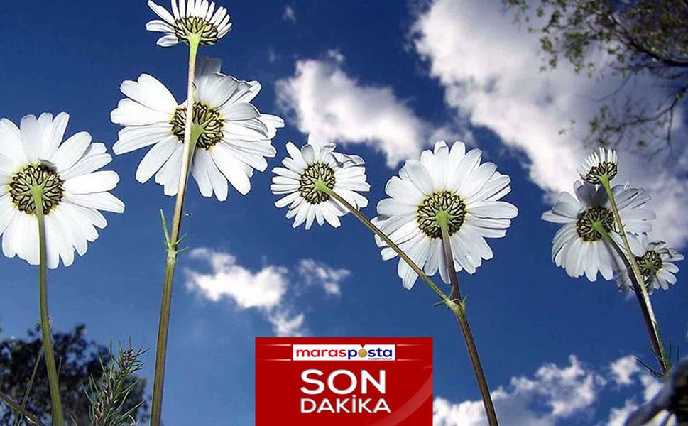 Cemre baharın müjdecisidir!