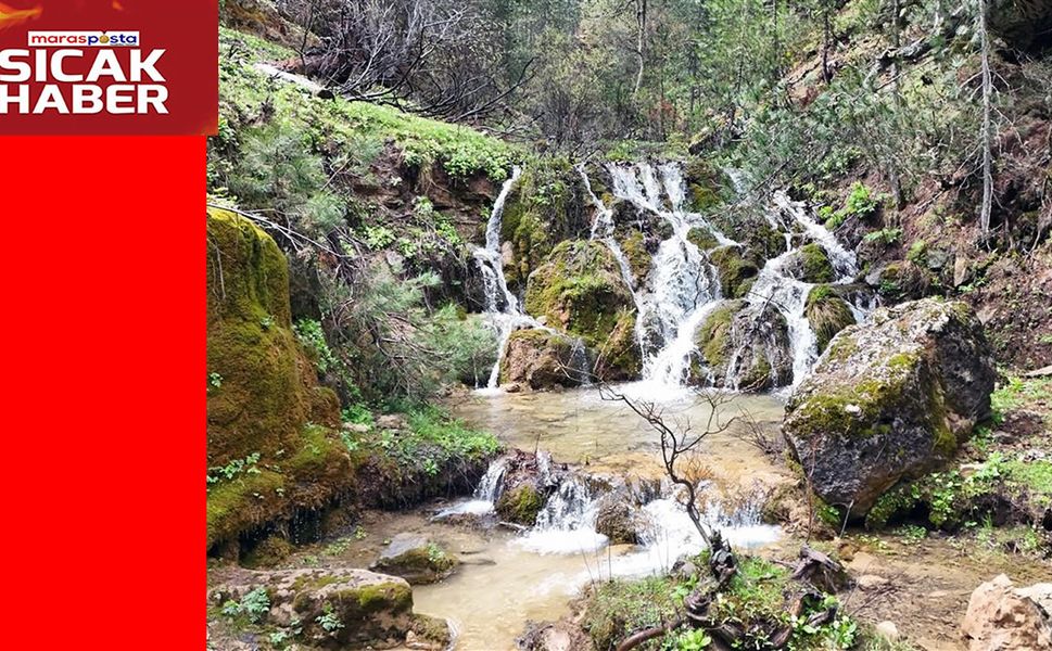 Türkiye’de korunan alan sayısı 692’ye yükseldi