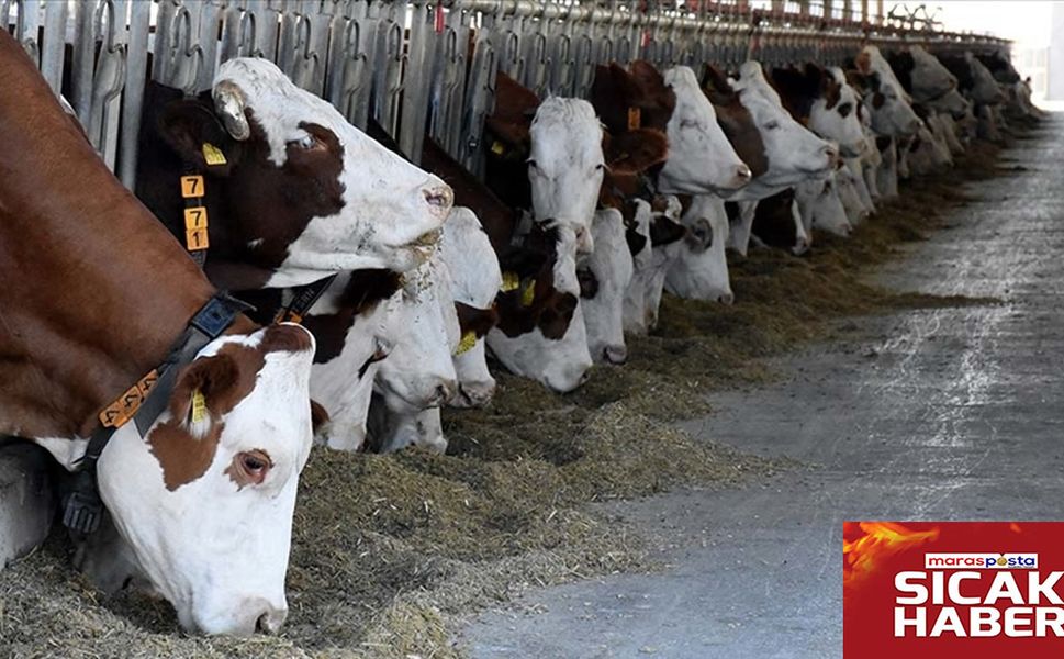 Kahramanmaraş Büyük Başta Türkiye’de İlk 25’te