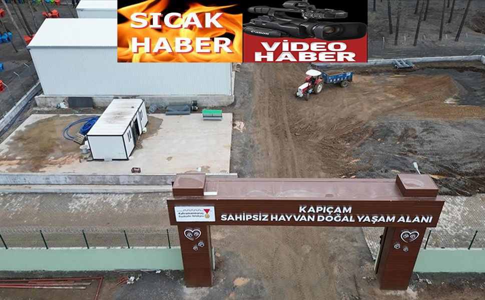 Kapıçam Sokak Hayvanları Rehabilitasyon Merkezi yenilendi